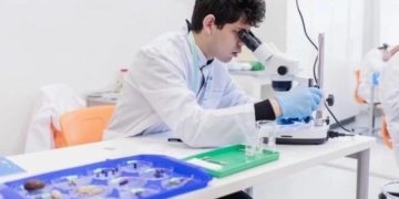 Первую синтетическую клетку с полным жизненным циклом создали в лаборатории