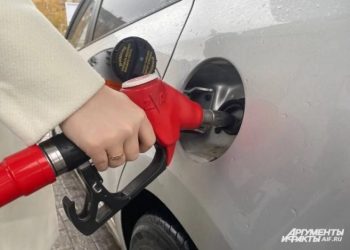 Борщевик против нефти. Бензин можно делать почти из любых отходов