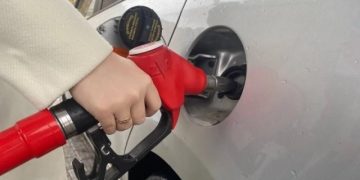 Борщевик против нефти. Бензин можно делать почти из любых отходов