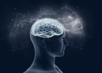 Мозг — лишь приёмник? Сознание существует вне нас, считает нейробиолог