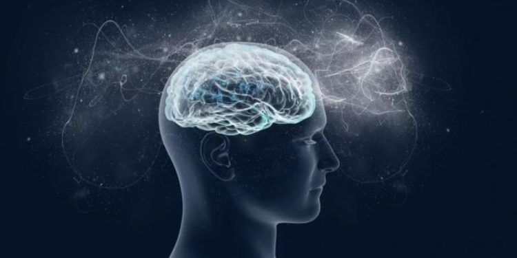 Мозг — лишь приёмник? Сознание существует вне нас, считает нейробиолог