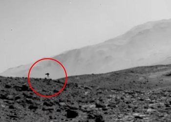 По Марсу бродит «медуза»? На архивном снимке NASA заметили странную фигуру