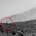 По Марсу бродит «медуза»? На архивном снимке NASA заметили странную фигуру