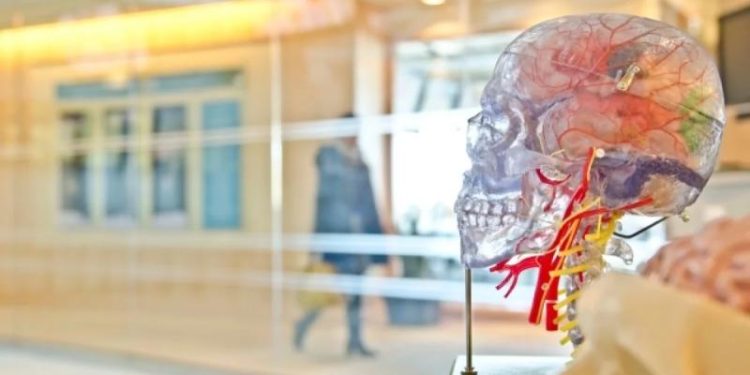 Ученые рассказали, как бедность влияет на мозг