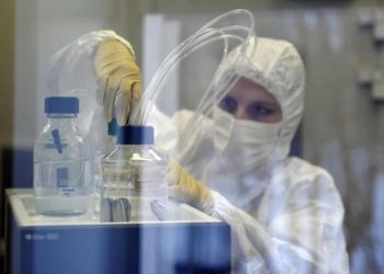 Учёные раскрыли, как началась эпидемия Эболы в ДР Конго