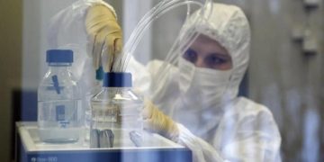Учёные раскрыли, как началась эпидемия Эболы в ДР Конго