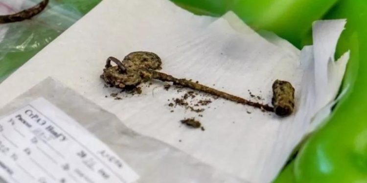 В Новгородской области обнаружили нетипичное древнее захоронение женщины
